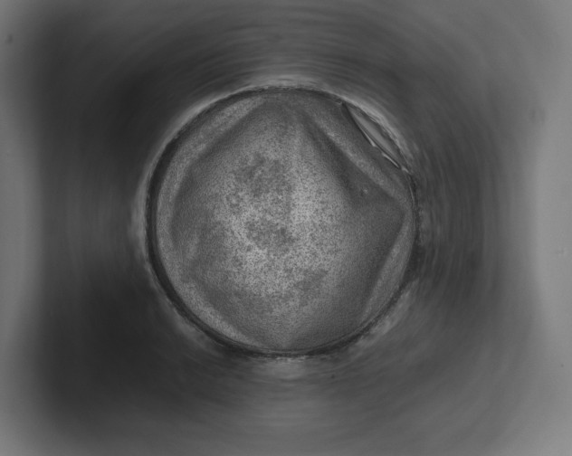 X0000102011038200808011138