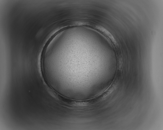 X0000102011039200808011138