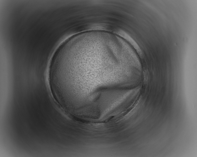 X0000102011043200808011138