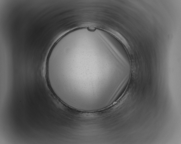 X0000102011044200808011138