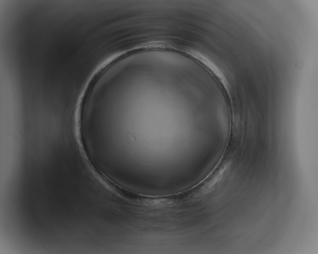 X0000102011045200808011138