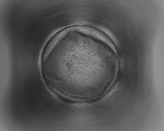 X0000102011046200808011138