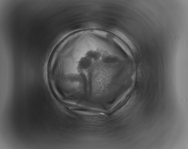 X0000102011047200808011138