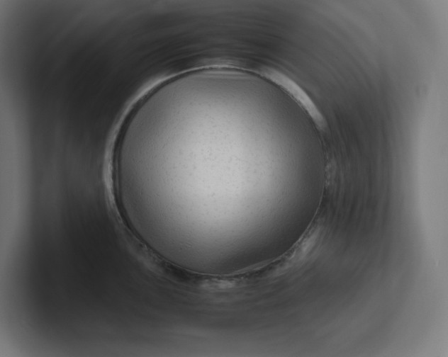 X0000102011051200808011138