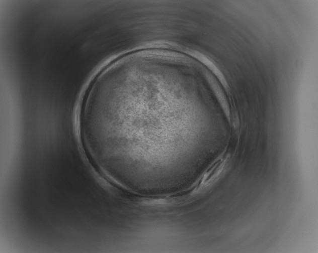 X0000102011054200808011138