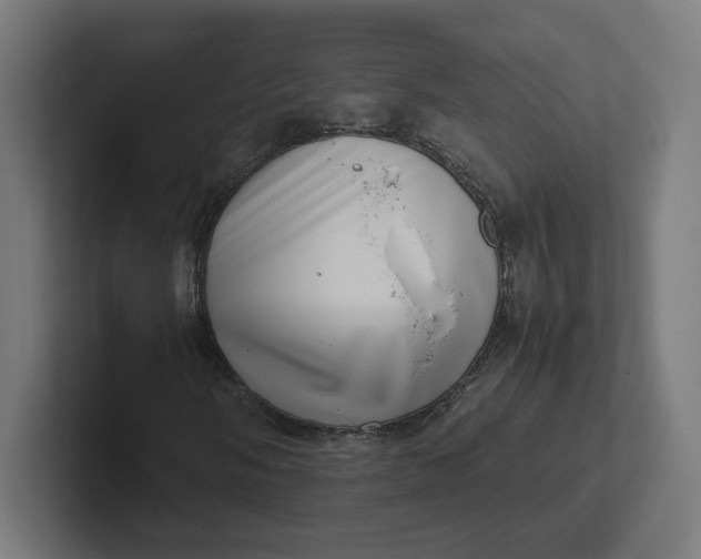 X0000102011058200808011138