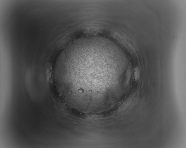 X0000102011059200808011138