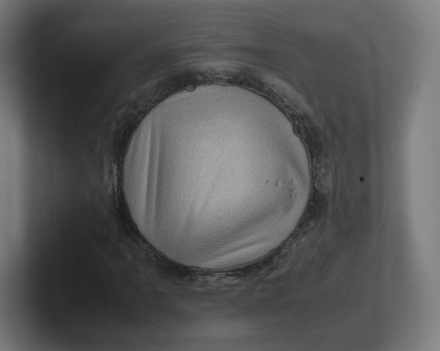 X0000102011061200808011138