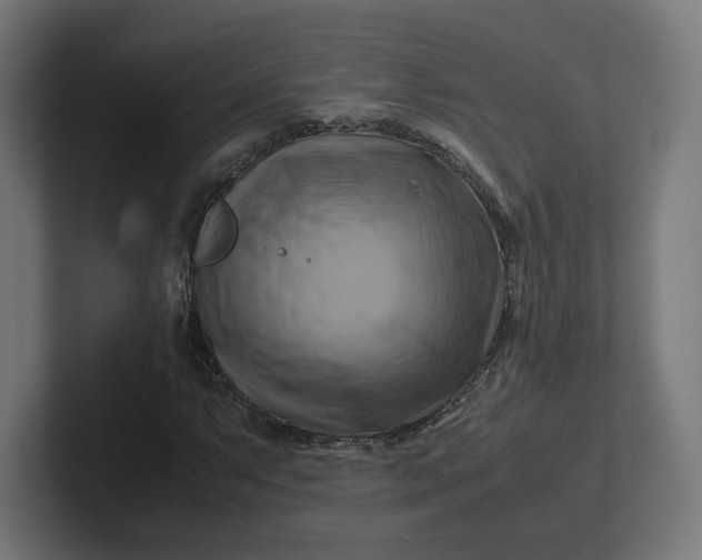 X0000102011063200808011138