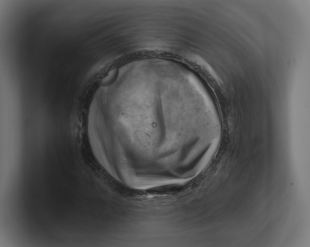 X0000102011064200808011138