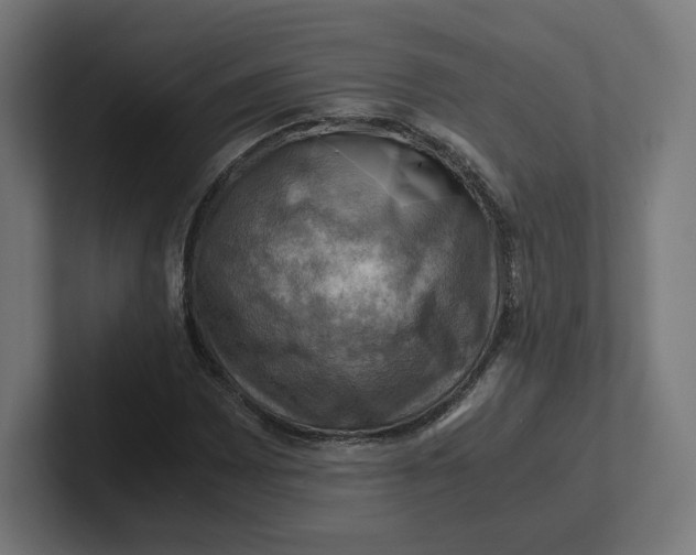 X0000102011065200808011138