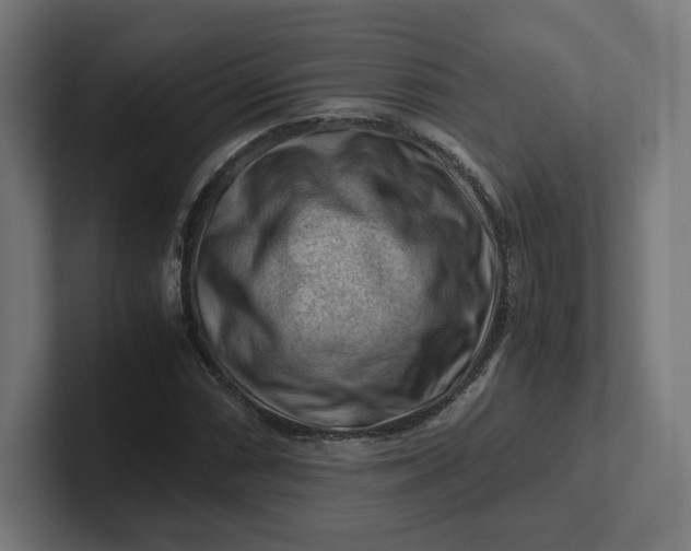 X0000102011066200808011138