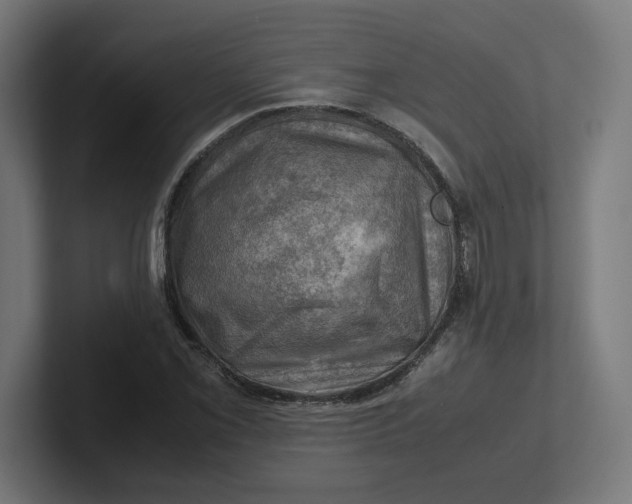 X0000102011069200808011138