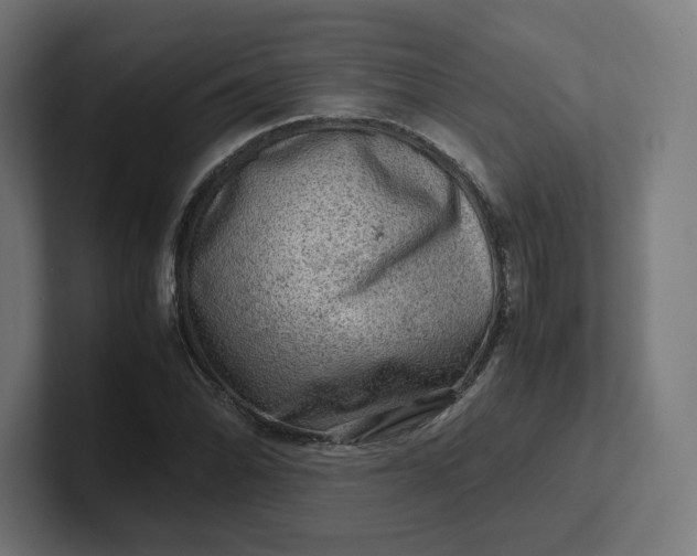 X0000102011070200808011138