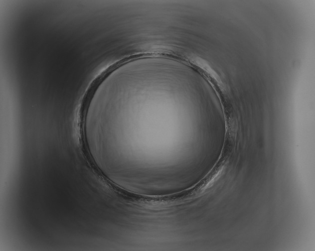 X0000102011071200808011138