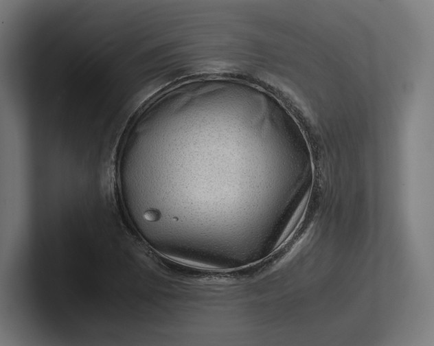 X0000102011073200808011138