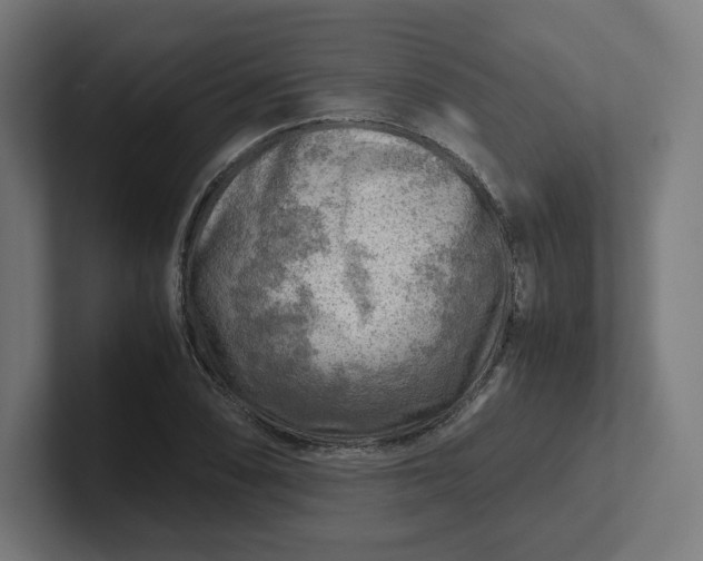 X0000102011074200808011138