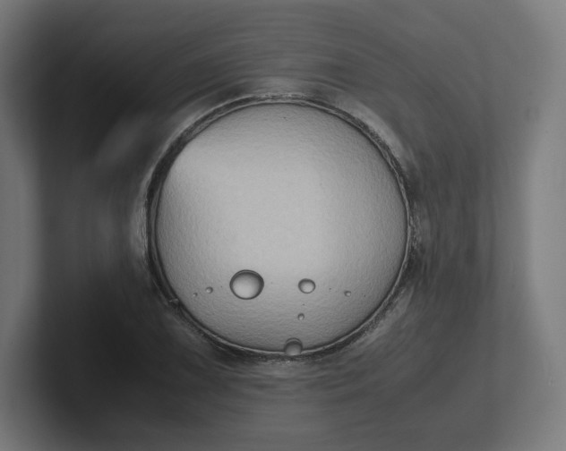 X0000102011075200808011138