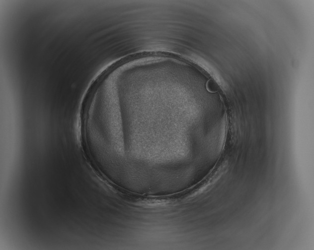 X0000102011076200808011138