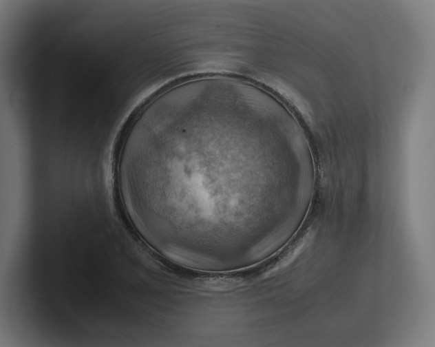 X0000102011077200808011137