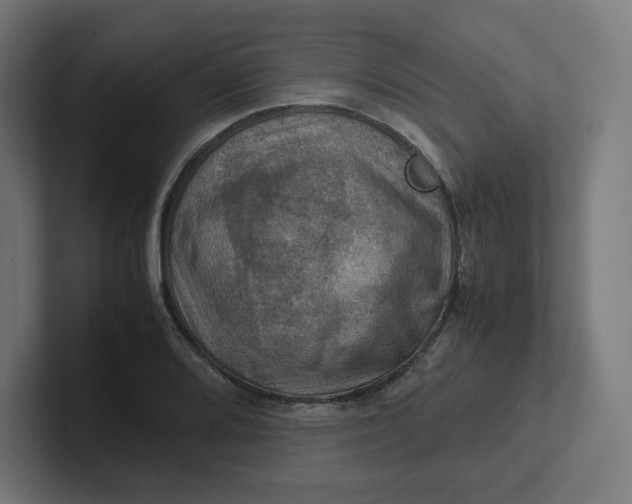 X0000102011080200808011137