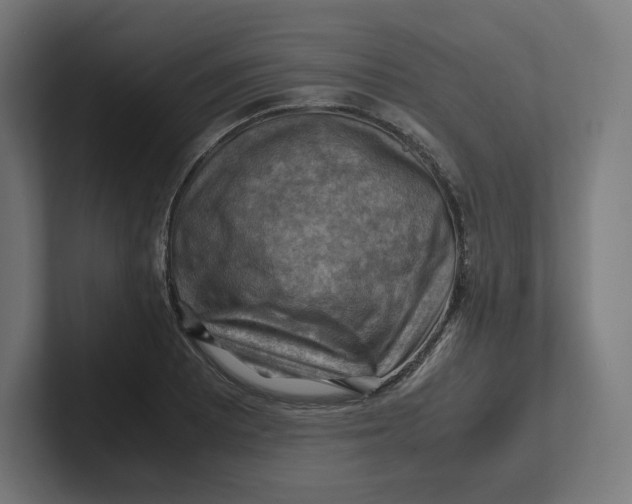 X0000102011081200808011137