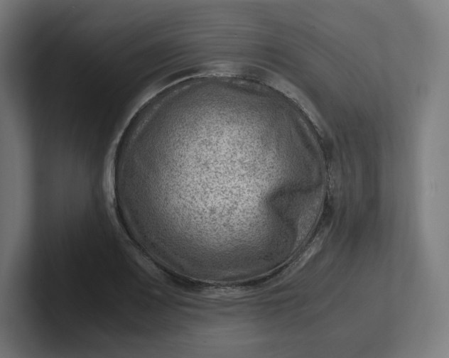 X0000102011083200808011137