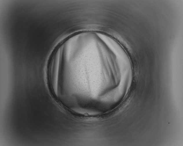 X0000102011085200808011137