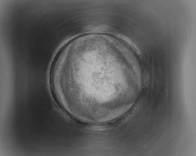 X0000102011086200808011137