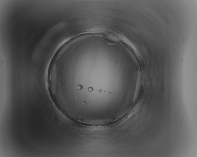 X0000102011087200808011137