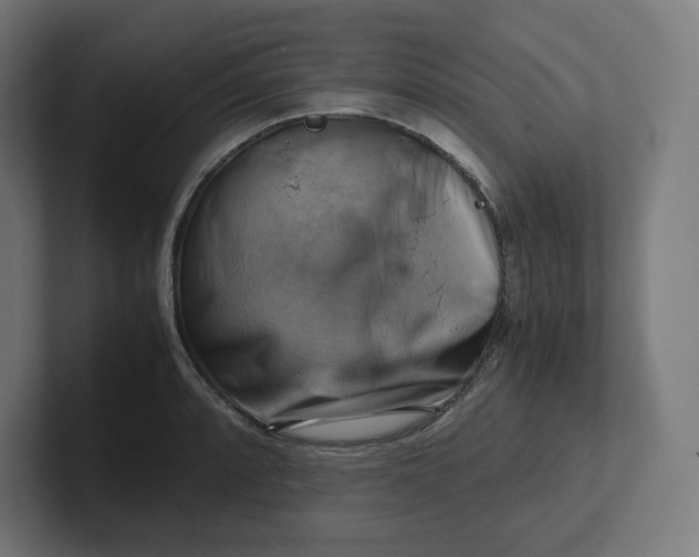 X0000102011088200808011137