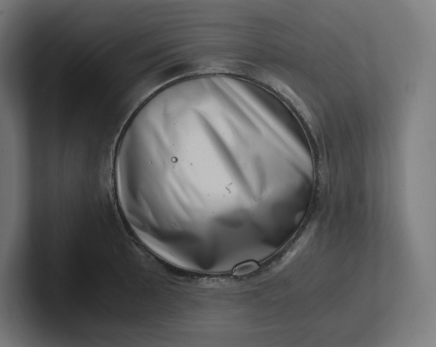 X0000102011089200808011137