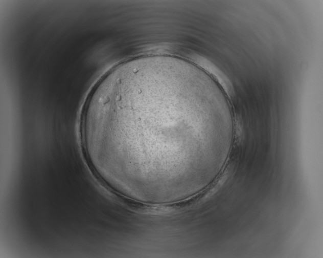 X0000102011090200808011137