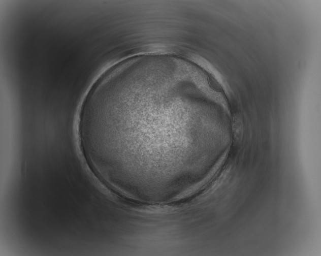 X0000102011091200808011137