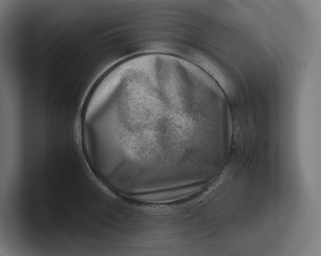 X0000102011092200808011137