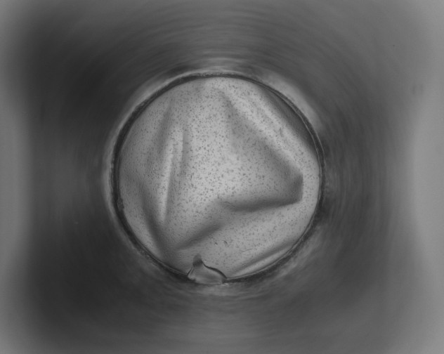 X0000102011093200808011137