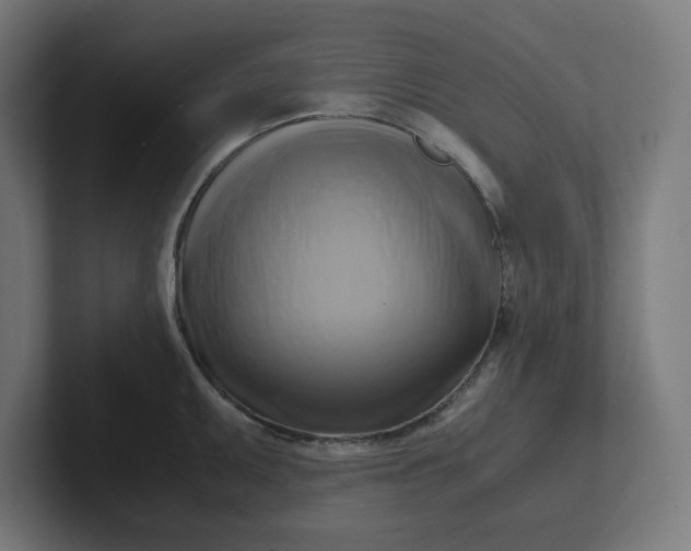 X0000102011095200808011137