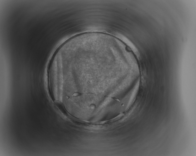 X0000102011096200808011137