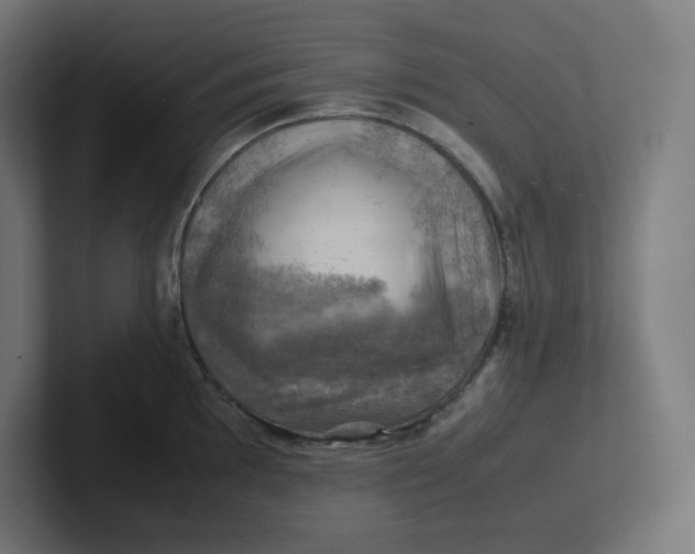 X0000102011097200808011137