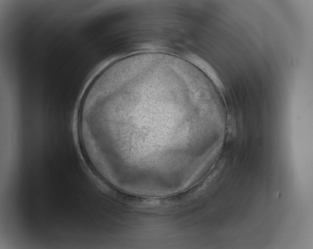 X0000102011098200808011137