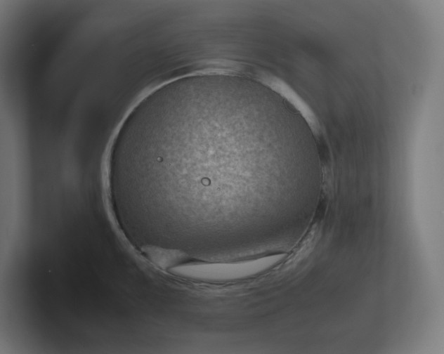 X0000102011099200808011137