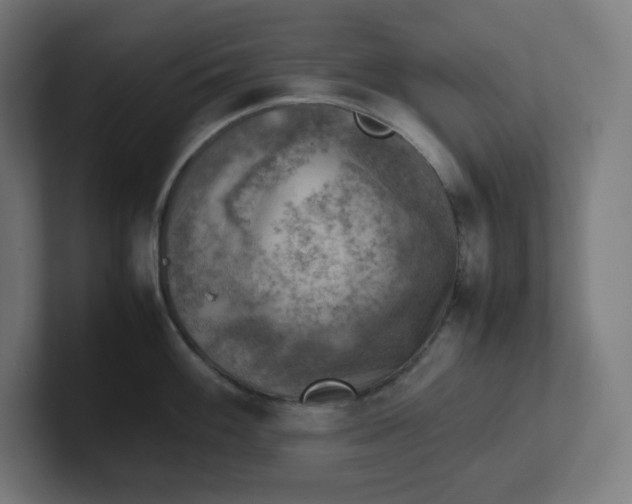 X0000102011100200808011137