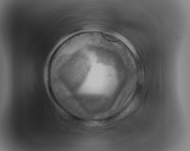 X0000102011101200808011137