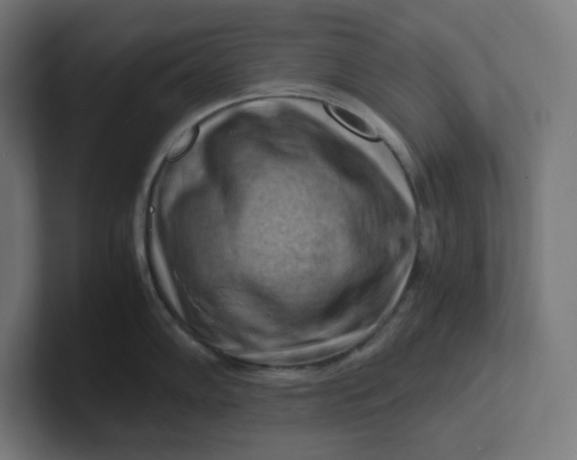 X0000102011102200808011137