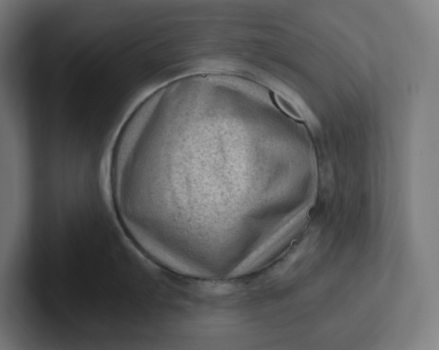 X0000102011103200808011137