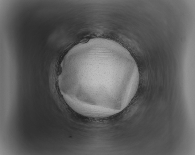 X0000102011105200808011136