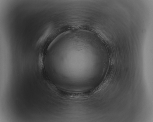 X0000102011106200808011137