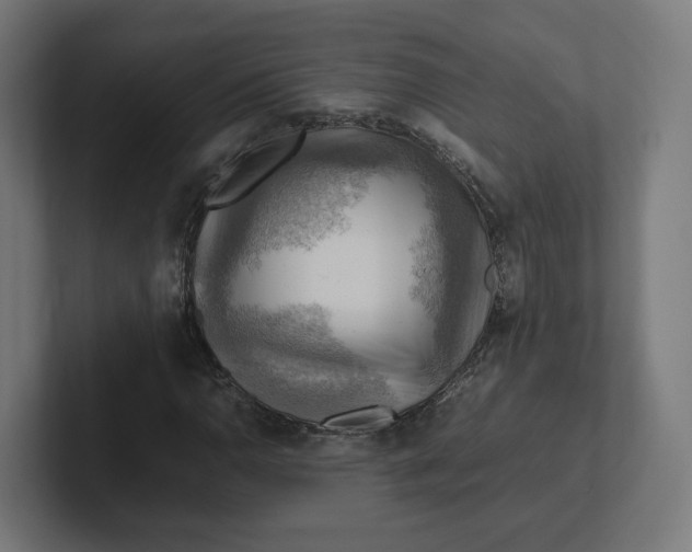 X0000102011110200808011137