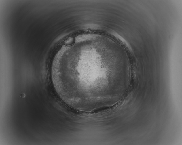 X0000102011112200808011137