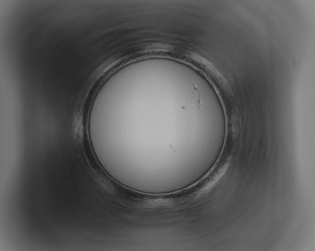 X0000102011113200808011137